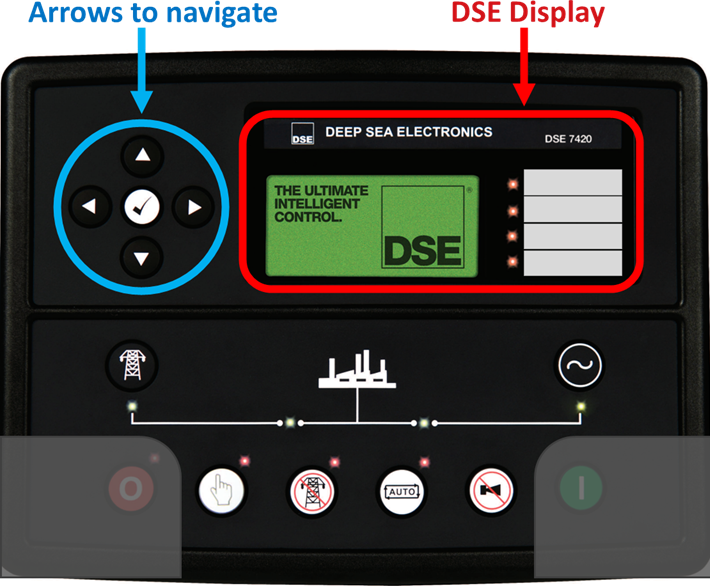 DSE Display-1
