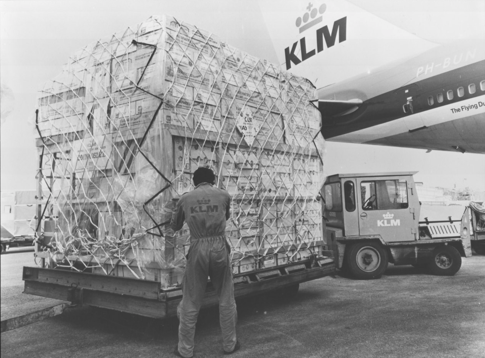 Screenshot 2026-01-19 114624